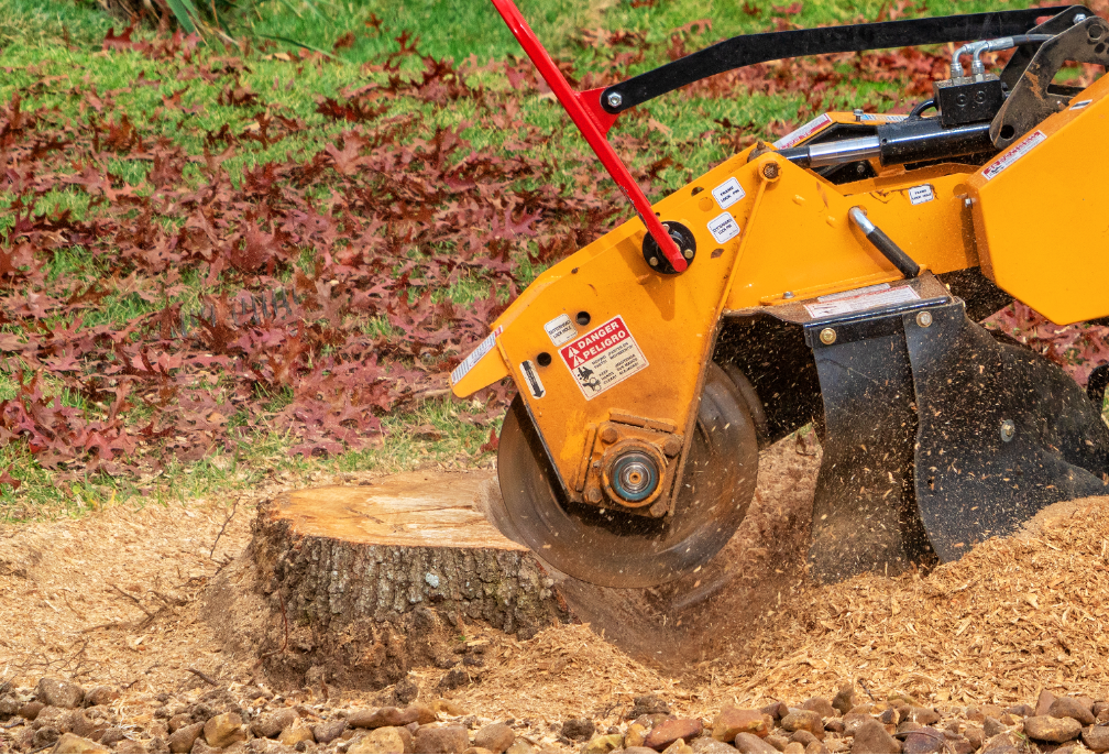 stump-removal-company-in-lake-zurich-illinois stump-removal-company-in-lake-zurich-illinois